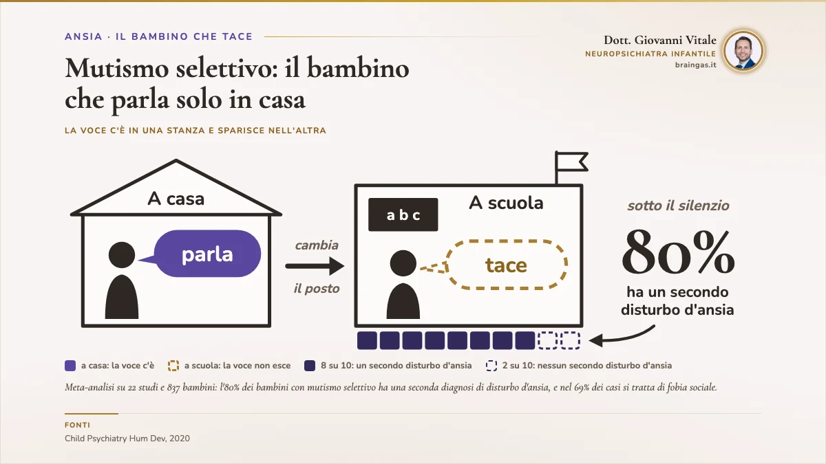 Mutismo selettivo: il bambino che parla solo in casa. Due stanze disegnate. A sinistra la casa: il bambino ha accanto un fumetto pieno viola con la parola «parla». Una freccia segnata «cambia il posto» porta alla scuola, dove lo stesso bambino ha un fumetto vuoto e tratteggiato in ottone con la parola «tace». Sotto la scuola dieci blocchi di fondamenta, otto pieni e due vuoti: in una meta-analisi su 22 studi e 837 bambini, l'80% dei bambini con mutismo selettivo ha un secondo disturbo d'ansia. A destra il numero 80%. Accanto al titolo il ritratto, in fondo la fonte.