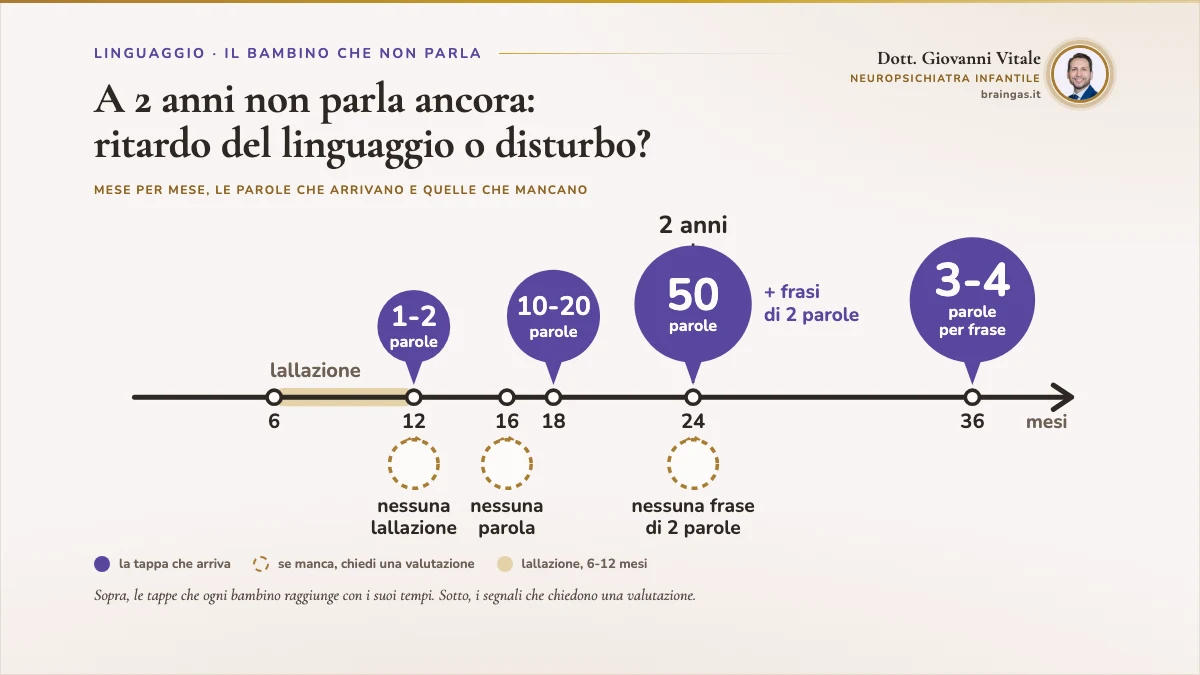 A 2 anni non parla ancora: ritardo del linguaggio o disturbo? Un asse dei mesi da 0 a oltre 36. Sopra, quattro fumetti viola pieni che crescono: 1-2 parole a 12 mesi oltre mamma e papà, 10-20 parole a 18, almeno 50 parole a 24 con le prime frasi di 2 parole, frasi di 3-4 parole a 36. Sull'asse una fascia sabbia segna la lallazione fra 6 e 12 mesi. Sotto, tre fumetti vuoti e tratteggiati in ottone: nessuna lallazione a 12 mesi, nessuna parola a 16, nessuna frase di 2 parole a 24. Per la legenda, se uno di questi manca serve una valutazione. Una linea tratteggiata segna i 2 anni. Accanto al titolo il ritratto.