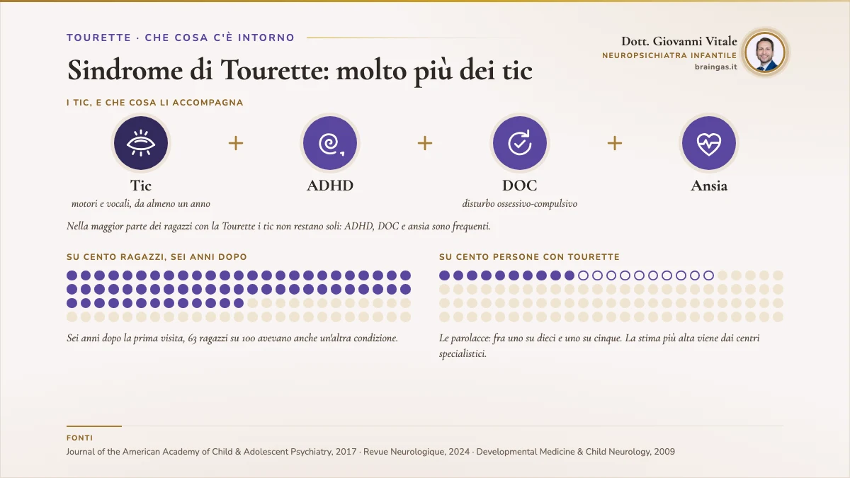 Sindrome di Tourette: molto più dei tic. Scheda BrainGas: Nella maggior parte dei ragazzi con la Tourette i tic non restano soli: ADHD, DOC e ansia sono frequenti. Sei anni dopo la prima visita, 63 ragazzi su 100 avevano anche un'altra condizione. Le parolacce: fra uno su dieci e uno su cinque. La stima più alta viene dai centri specialistici. In fondo il blocco delle fonti.